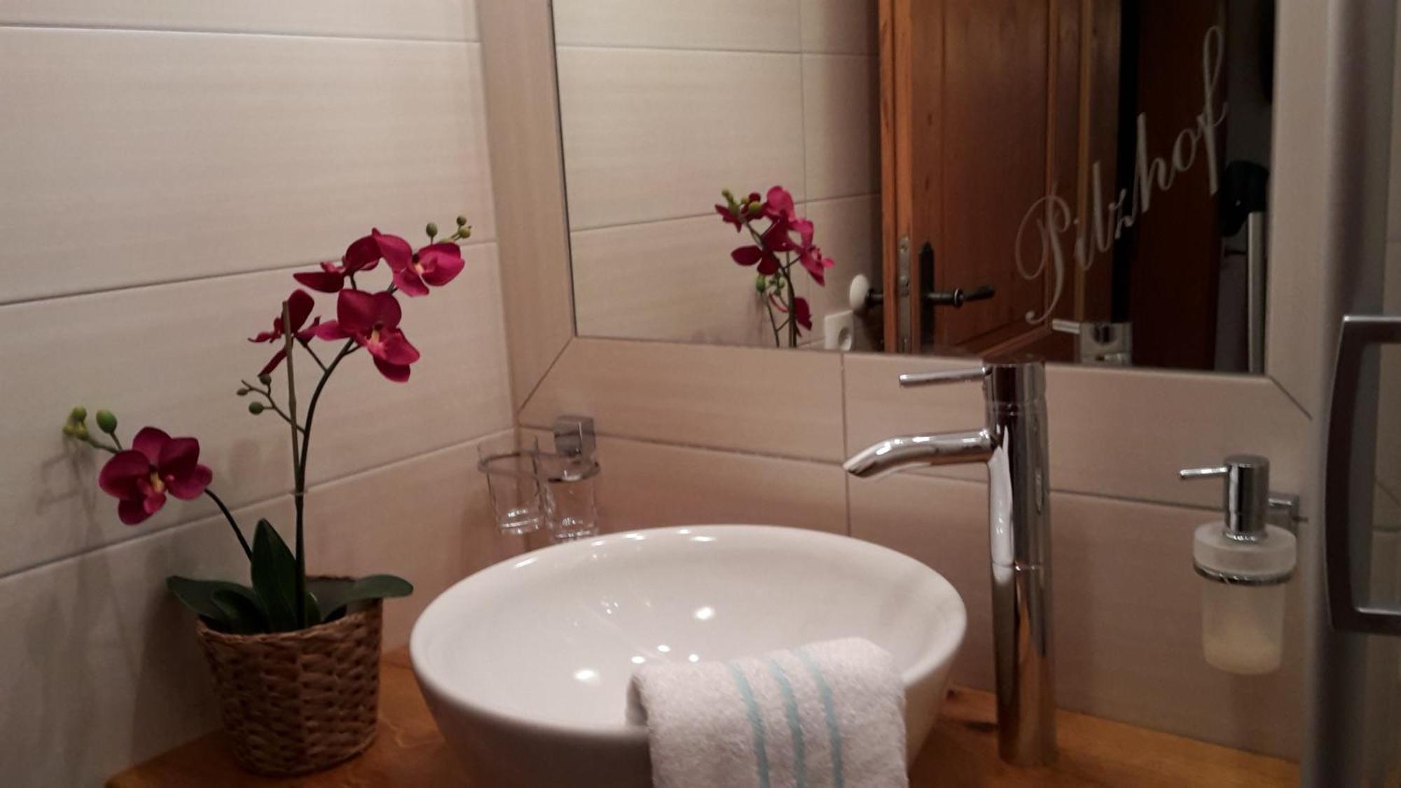 Appartement Pilzhof Фильцмос Экстерьер фото